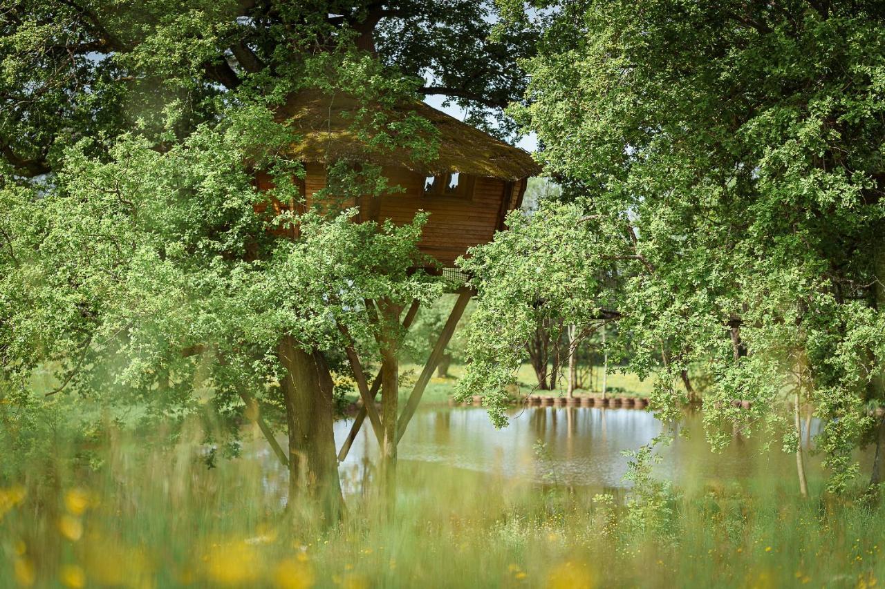 Cabane Perchee Dans Les Arbres Saint-Hilaire-en-Morvan Exterior foto